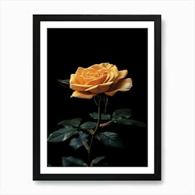 Yellow Rose 2 Art Print