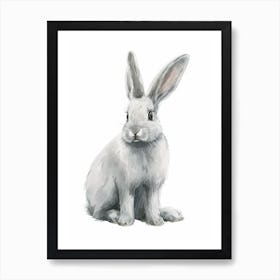 English Silver Rabbit Kids Illustration 4 Art Print