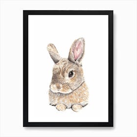 Wild Rabbit Art Print