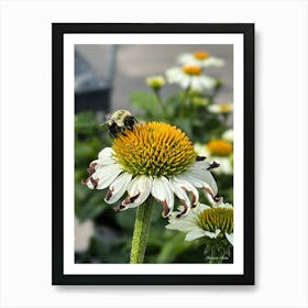 Bumblebee On A Flower Art Print