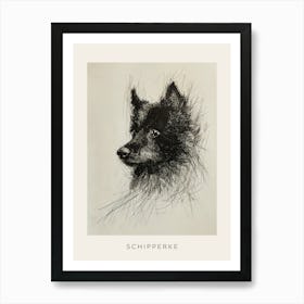 Schipperke Dog Line Sketch 2 Poster Art Print