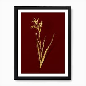 Vintage Gladiolus Cunonius Botanical in Gold on Red n.0459 Art Print
