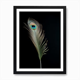 The Peacock Art Print