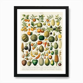 Fruits Of The World Art Print