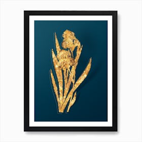 Vintage German Iris Botanical in Gold on Teal Blue n.0145 Art Print