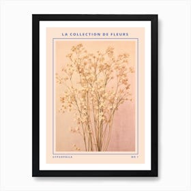 Gypsophila French Flower Botanical Poster Art Print