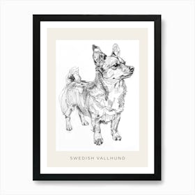 Swedish Vallhund Dog Line Sketch 1 Poster Art Print