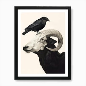 Crow And Ram Art Print