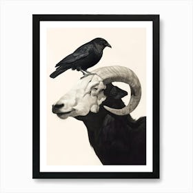 Crow And Ram Póster