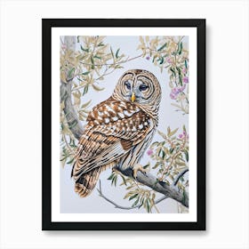 Barred Owl Marker Drawing 3 Art Print