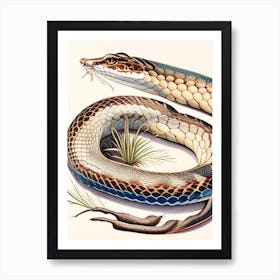 Diamondback Water Snake 1 Vintage Art Print