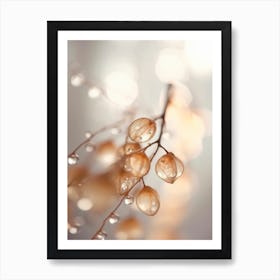 Drops On Leafs No 3 Art Print