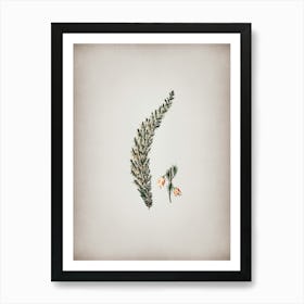 Vintage Bell Bearing Heath Flower Branch Botanical on Parchment n.0394 Art Print