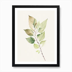 Spirea Leaf Minimalist Watercolour 2 Art Print