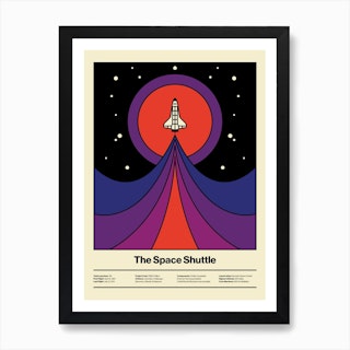 Space Fly Art Print
