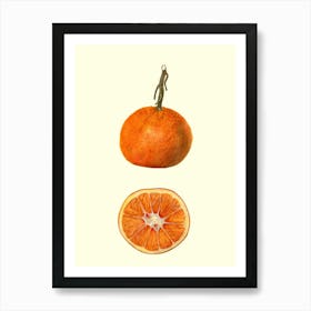 Oranges Art Print