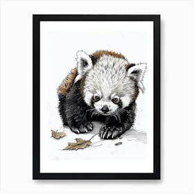 Red Panda Cub Playing With A Fallen Leaf Ink Illustration 3 Art Print