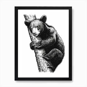 Malayan Sun Bear Cub Climbing A Tree Ink Illustration 3 Art Print