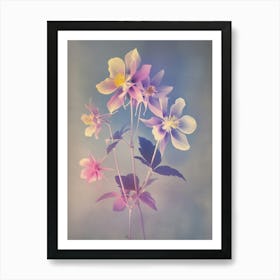 Iridescent Flower Columbine 4 Art Print