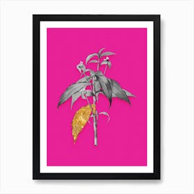 Vintage Commelina Zanonia Black and White Gold Leaf Floral Art on Hot Pink n.0996 Art Print