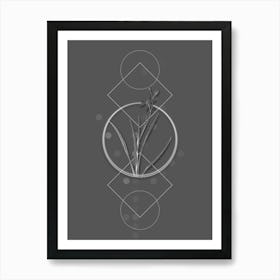 Vintage Ixia Anemonae Flora Botanical with Line Motif and Dot Pattern in Ghost Gray n.0191 Art Print