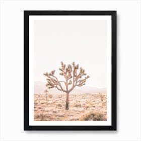 Yucca Art Print
