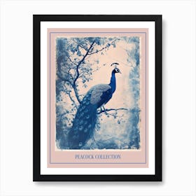 Blue & White Peacock On A Tree Cyanotype Poster Art Print