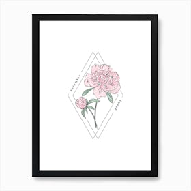 November Peony Birth Flower Art Print