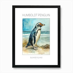 Humboldt Penguin Bleaker Island Watercolour Painting 3 Poster Art Print