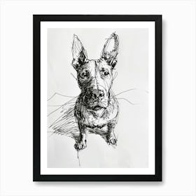 Miniature Bull Terrier Line Sketch 2 Art Print