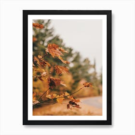 Warm Autumn Leaf Art Print