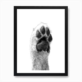 Black and White Dog Paw Art Print