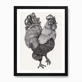 Rooster in Black and White Ink Art Print