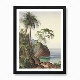 Coastal Cliffs And Rocky Shores Waterscape Vintage Illustration 1 Art Print