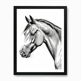 Highly Detailed Pencil Sketch Portrait of Horse with Soulful Eyes 6 Art Print