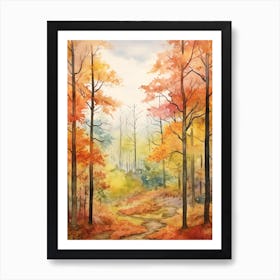 Autumn Forest Landscape The Shawnee National Forest 2 Art Print