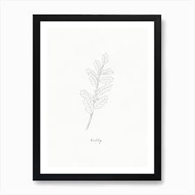 Holly Line Drawing Art Print