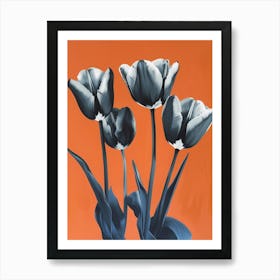 Black And White Tulips Art Print