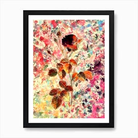 Impressionist Provence Rose Botanical Painting in Blush Pink and Gold n.0028 Art Print