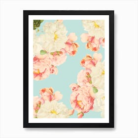 Redoute Summer Roses  Art Print