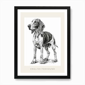 English Foxhound Dog Line Sketch 3 Poster Art Print