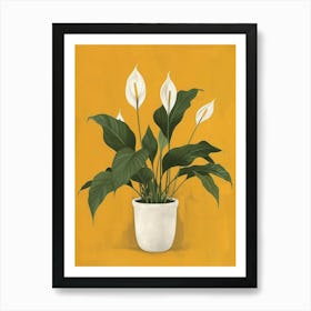 Peace Lily Canvas Print Art Print