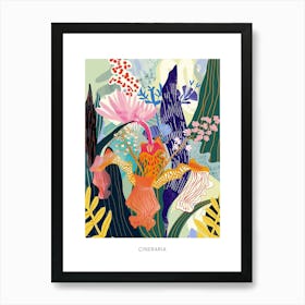 Colourful Flower Illustration Poster Cineraria 3 Art Print