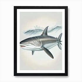 Grey Reef Shark 2 Vintage Art Print