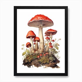 Storybook Mushrooms 1 Art Print