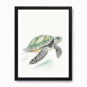 Olive Ridley Sea Turtle (Lepidochelys Olivacea), Sea Turtle Pencil Illustration 1 Art Print