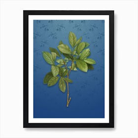Vintage Eastern Leatherwood Botanical on Bahama Blue Pattern n.2222 Art Print