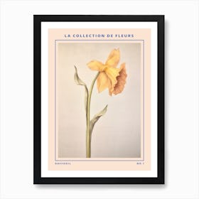 Daffodil French Flower Botanical Poster Art Print