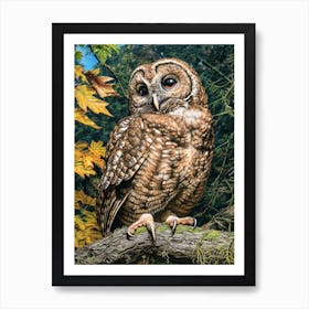 Spotted Owl Relief Illustration 4 Art Print