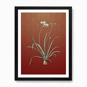 Vintage Allium Fragrans Botanical on Falu Red Pattern n.1005 Art Print